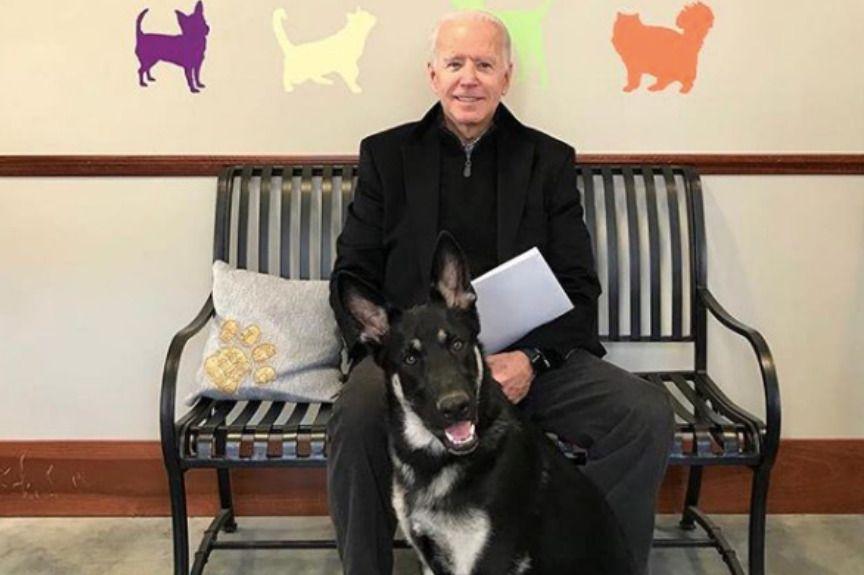 Joe Biden psy