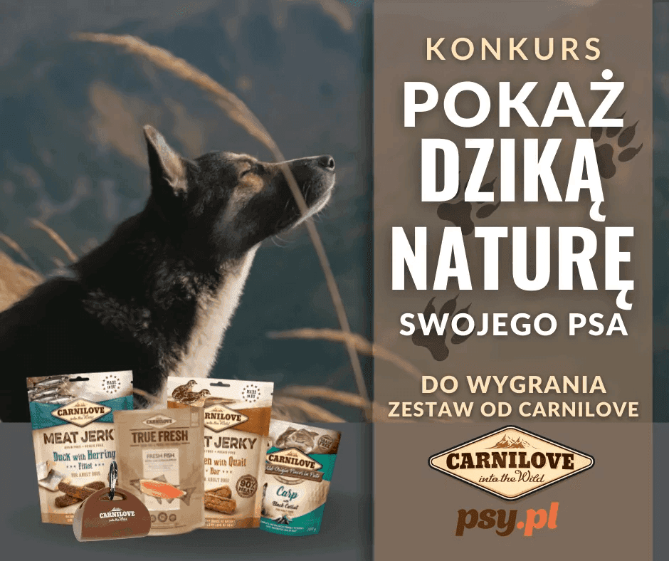 konkurs carnilove dzika natura psa