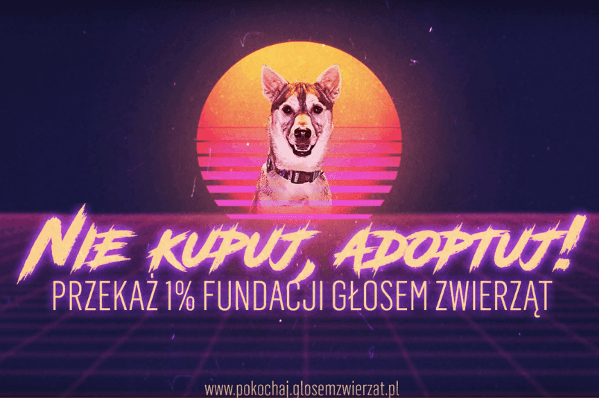 kampania "pokochaj", nie kupuj, adoptuj, klub samotnych serc