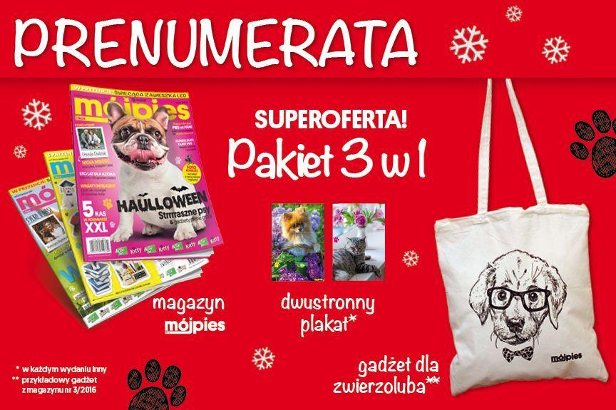 mój pies i kot prenumerata