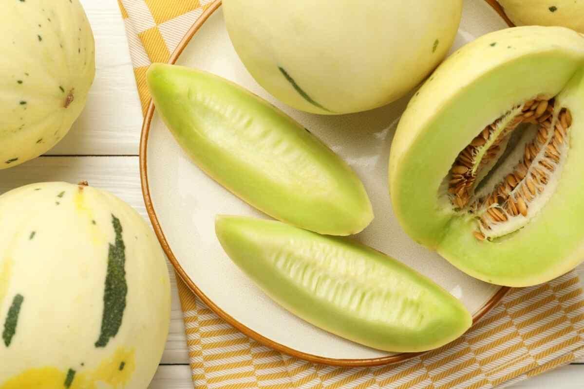 pies może jeść melona