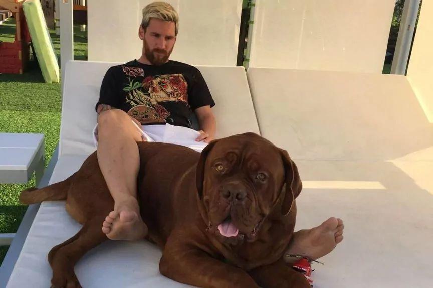 Leo Messi i pies