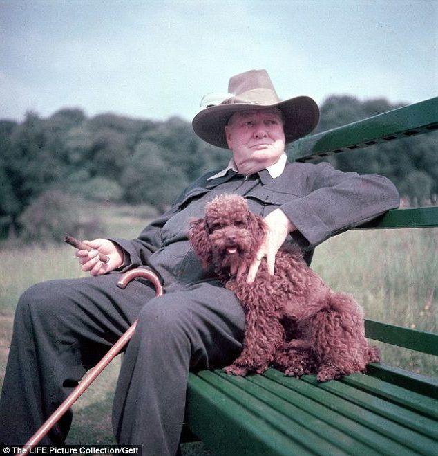 Churchill ze swoim psem pudlem o imieniu Rufus w 1949