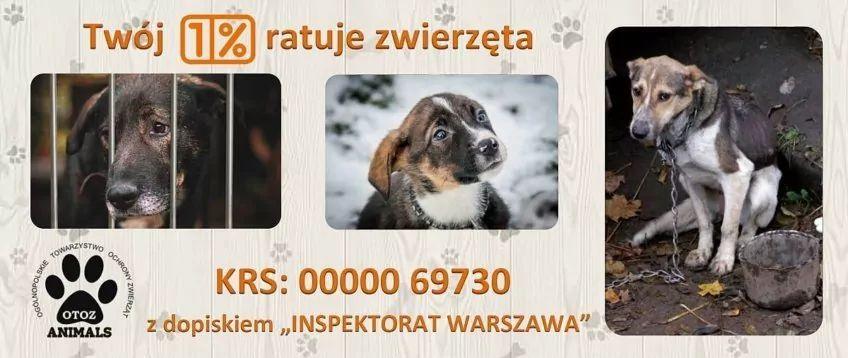 OTOZ Animals Inspektorat Warszawa