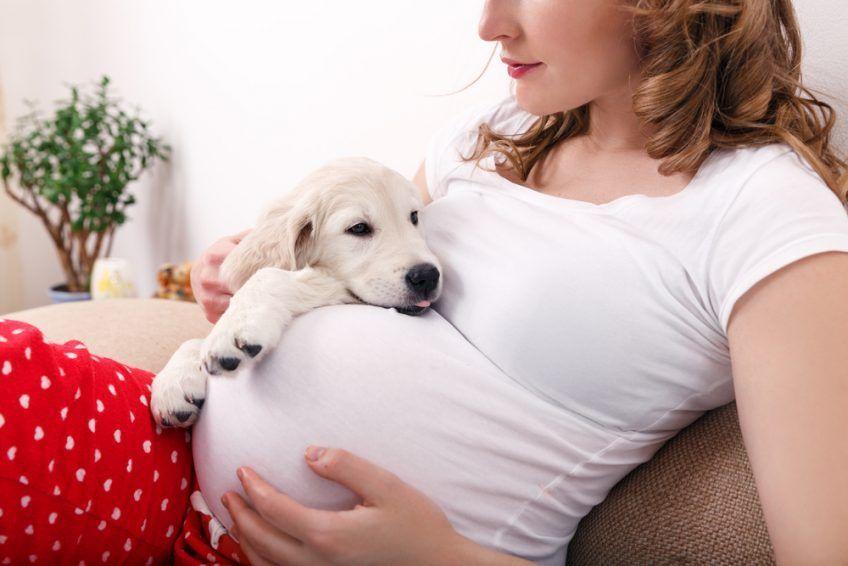 Kobieta w ciąży i pies