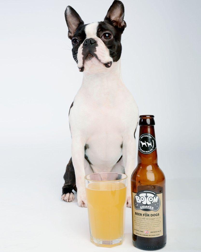 Pies z piwem dla psa"