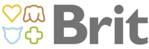 Brand-logo-basic-BRIT-300x99.png