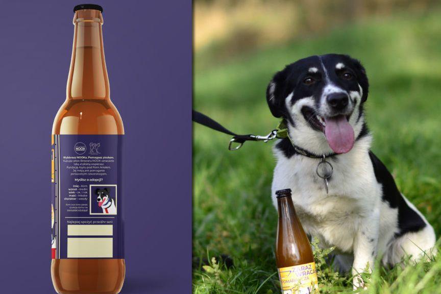 psy szukają domu na butelkach piwa