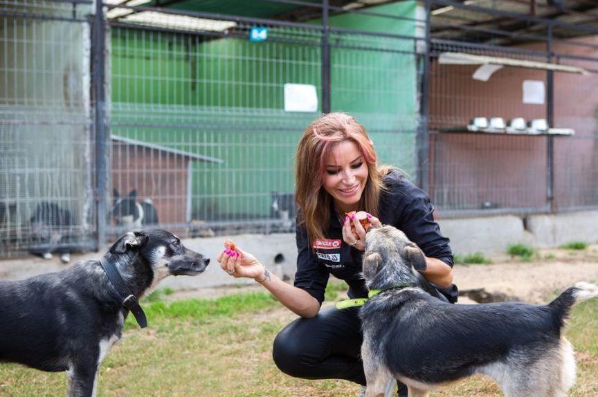 Karolina Pilarczyk uratowała psy