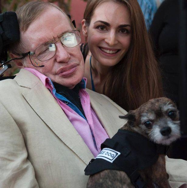 Pies i Steven Hawking