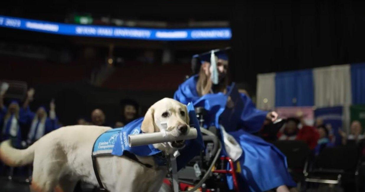 Pies odebrał dyplom ukończenia szkoły