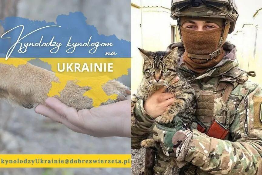 Pomoc zwierzętom na Ukrainie