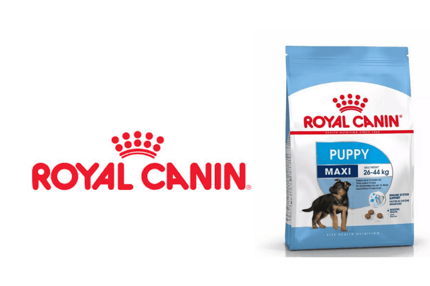 Royal Canin Maxi Puppy sucha karma