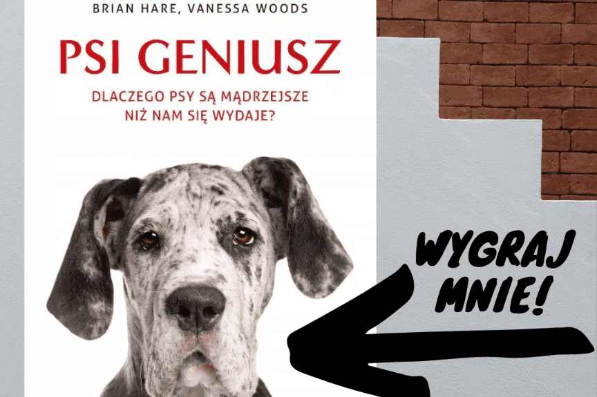 książka psi geniusz - wyniki konkursu