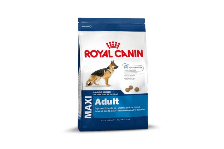 Royal Canin Maxi Adult sucha karma