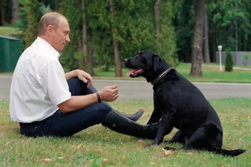 Władimir Putin i Koni