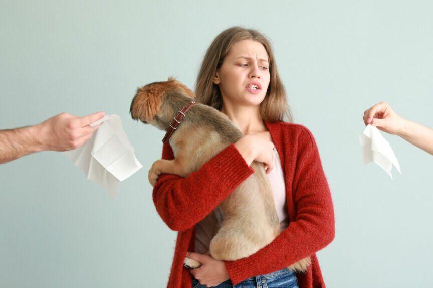 alergie u psów i ich opiekunów