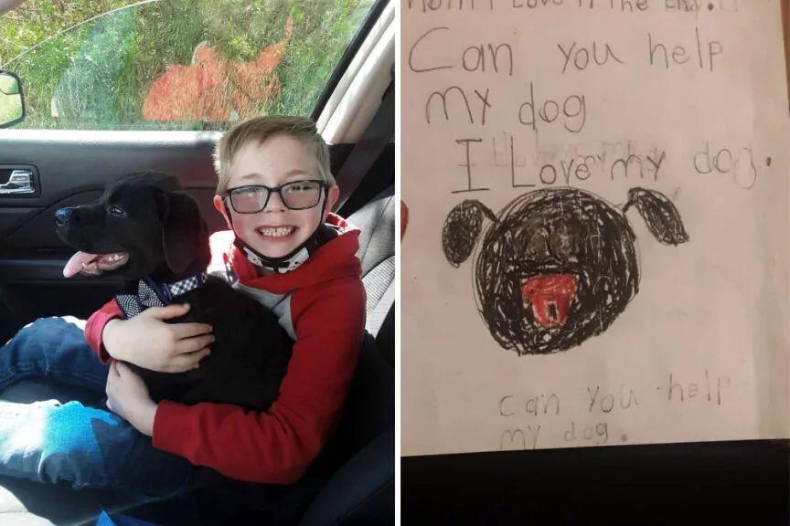 Ośmiolatek chłopiec sprzedał kolekcję kart Pokemon, by uratować życie swojego psa
