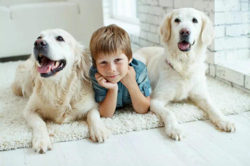 relacja psa z dzieckiem