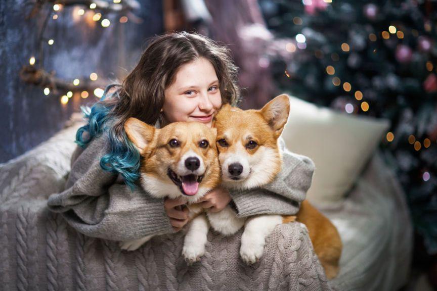jak przygotować psa na świąteczny czas