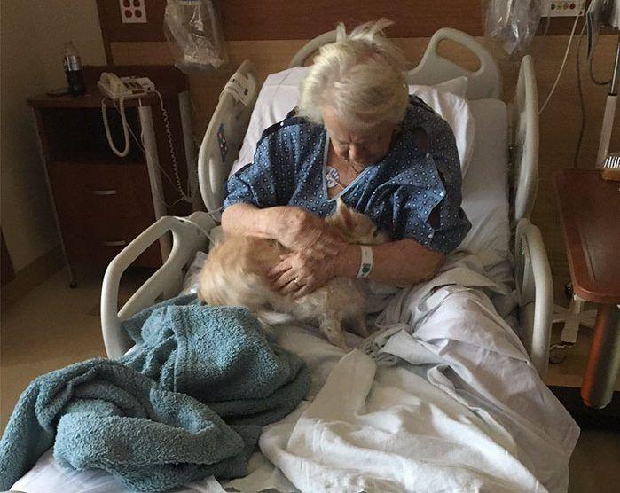 Babcia w szpitalu przytula psa