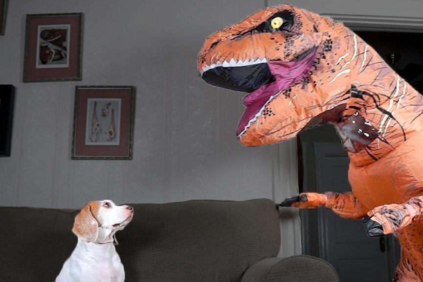 Pies Maymo i dinozaur