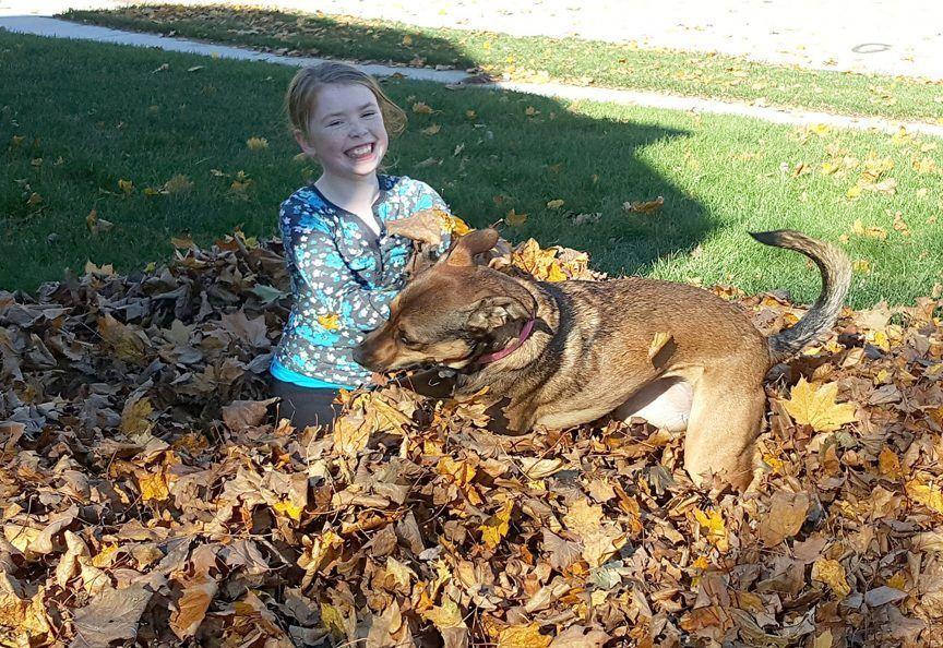 Dziewczynka w liściach bawi się z psem