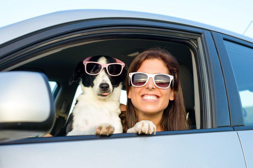 okulary przeciwsłoneczne dla psa
