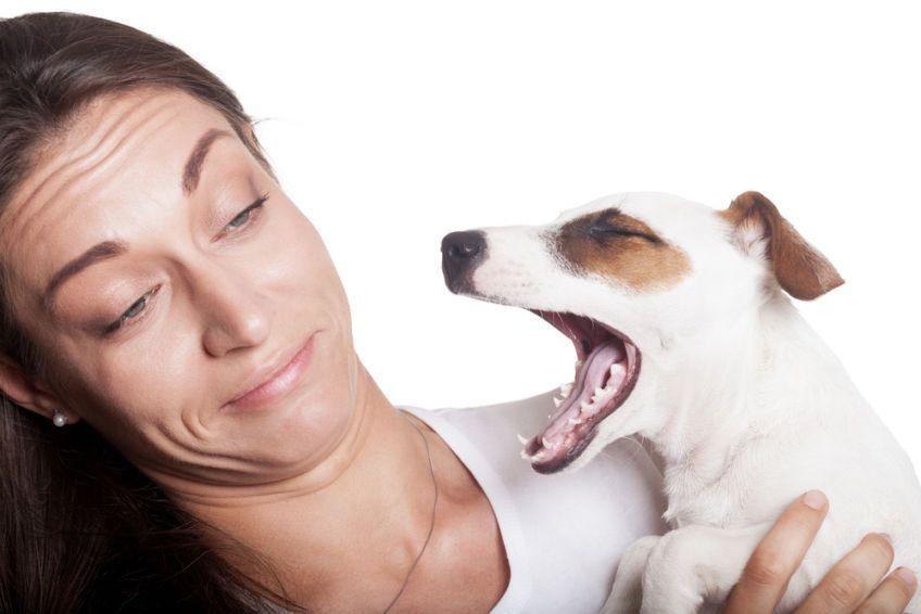 Twój pies brzydko pachnie