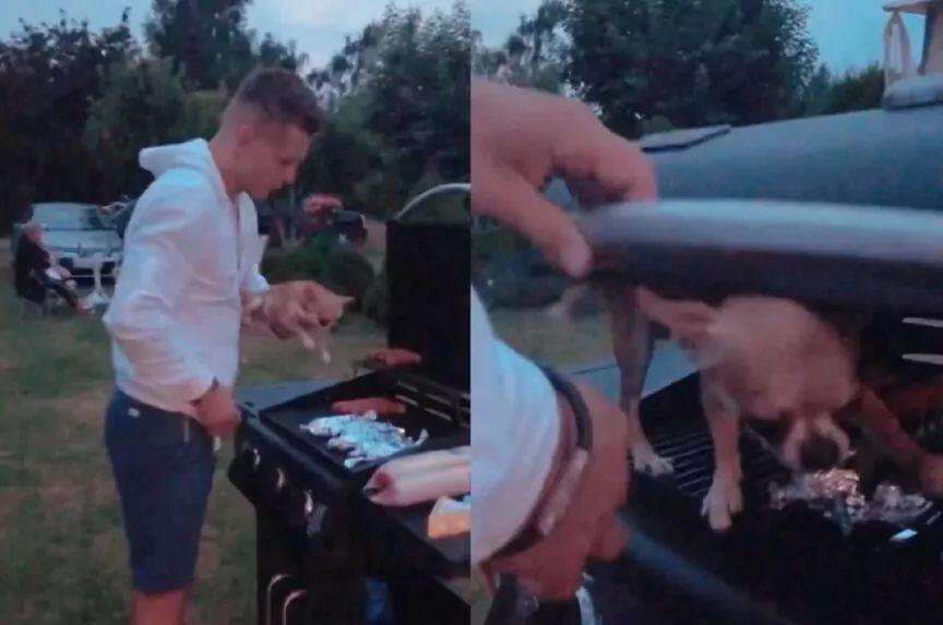 alan kwieciński zamyka psa na grillu