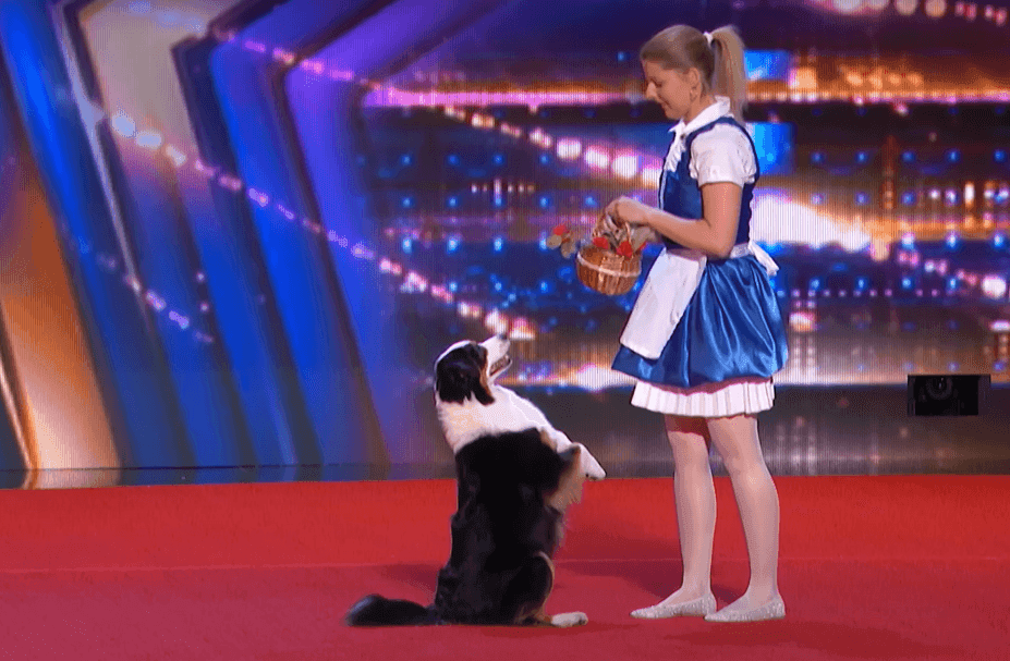pies w mam talent dog dancing taniec z psem