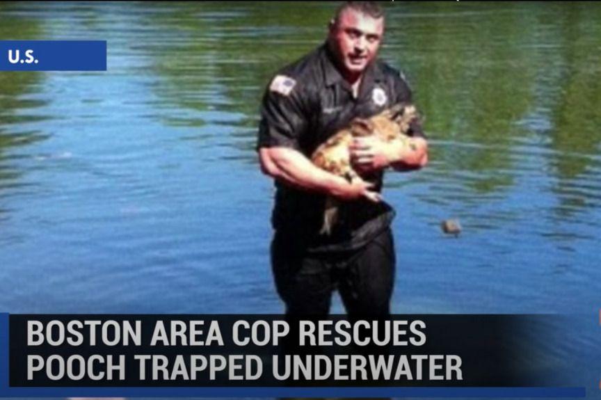 Amerykański policjant David Harriman uratował psa przed utonięciem