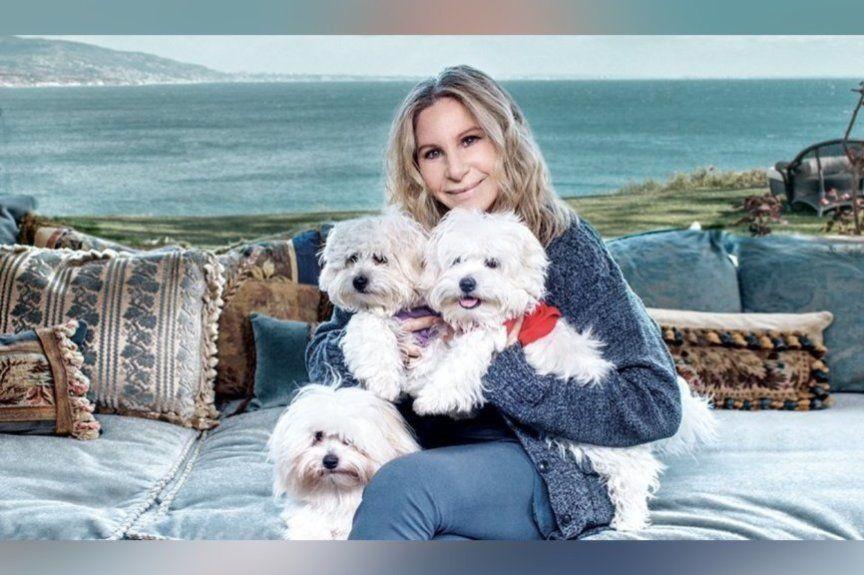 Barbra Streisand sklonowała psa