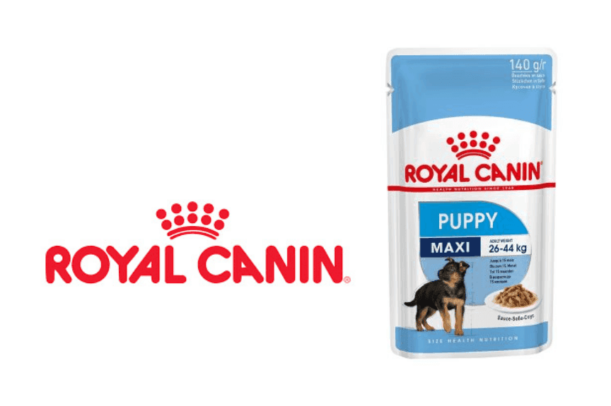 Royal Canin Maxi Puppy mokra karma