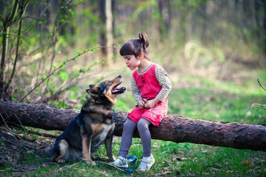 Dziewczynka z psem w lesie