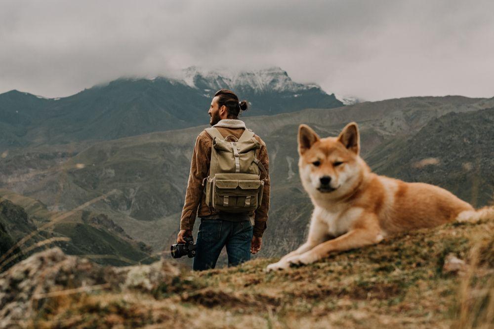 Z psem w górach