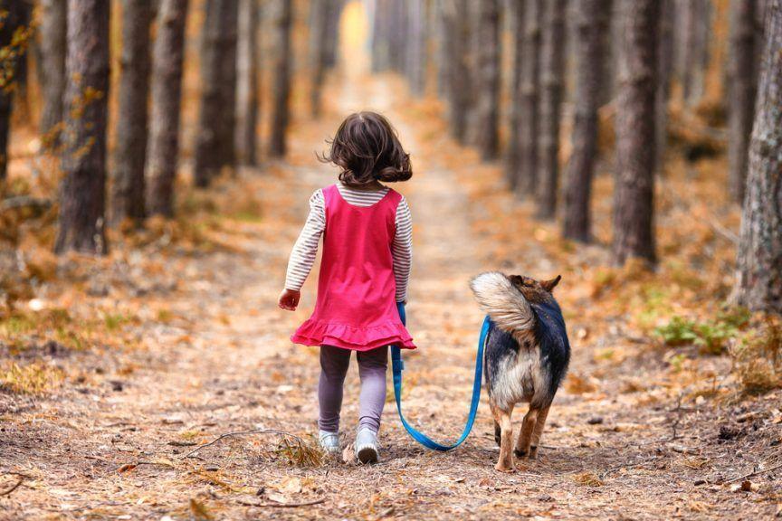 Dziecko i pies spacerują w lesie