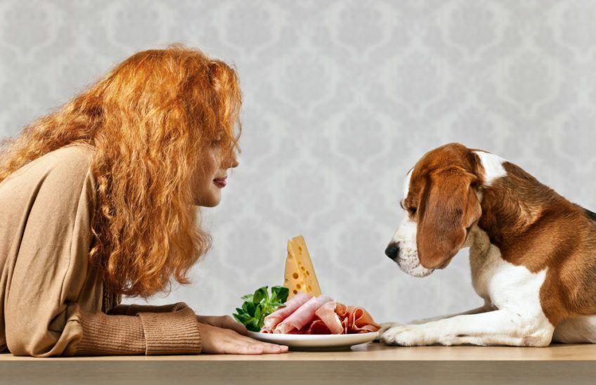 Pani i pies siedzą obok talerza z jedzeniem
