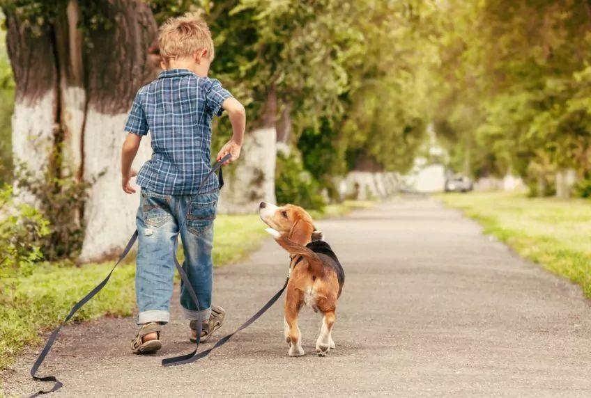 Chłopiec z psem na spacerze