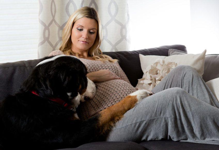 kobieta w ciąży siedzi z psem na kanapie