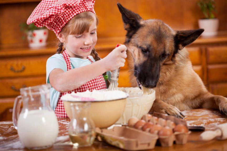 Dziewczynka z psem w kuchni