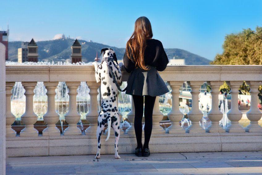 Dziewczyna z psem na placa espanya