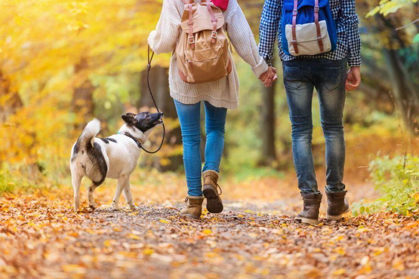 Jak dbać o związek, para na spacerze w parku z psem