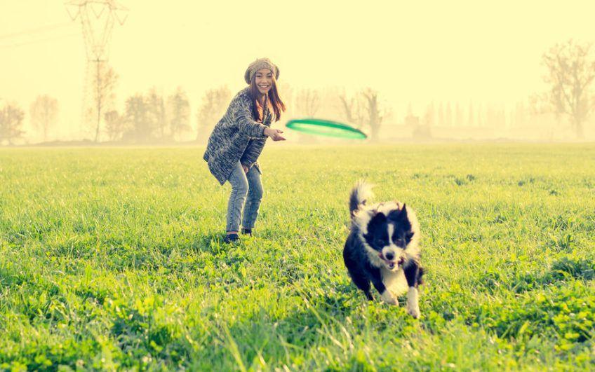 Kobieta rzuca psu frisbee
