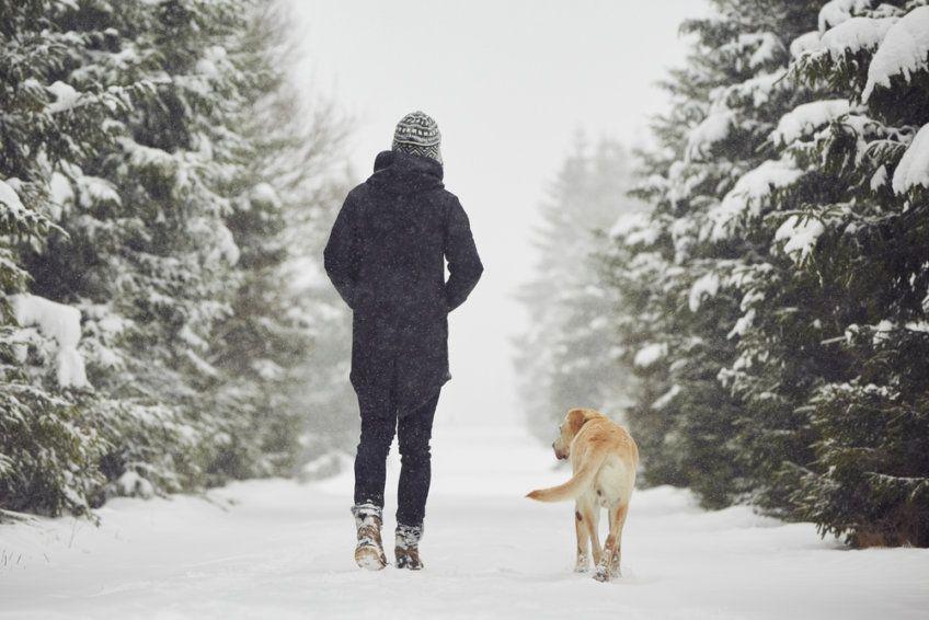 Pan spaceruje z psem zimą
