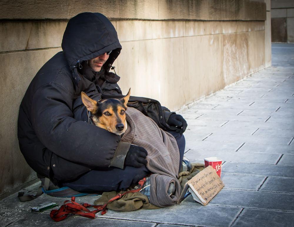 bezdomny z psem