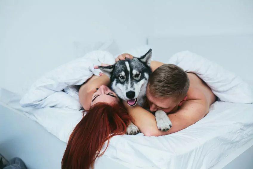 Para w łóżku z psem