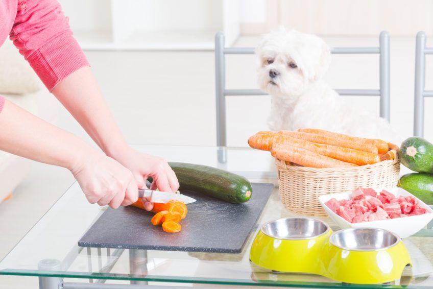Pies asystuje przy gotowaniu
