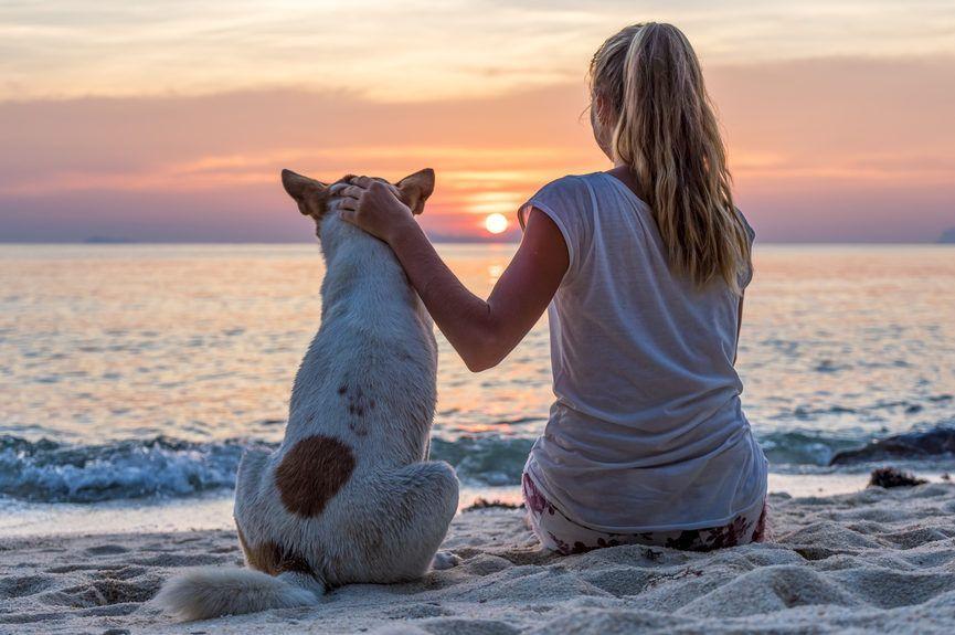 Kobieta i pies siedzą tyłem na plaży i oglądają zachód słońca