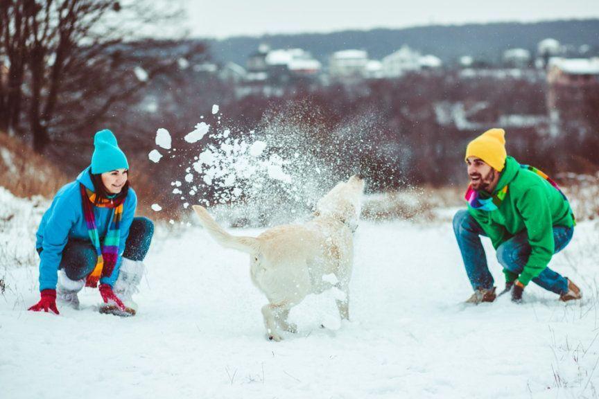 Jak można bawić się z psem zimą